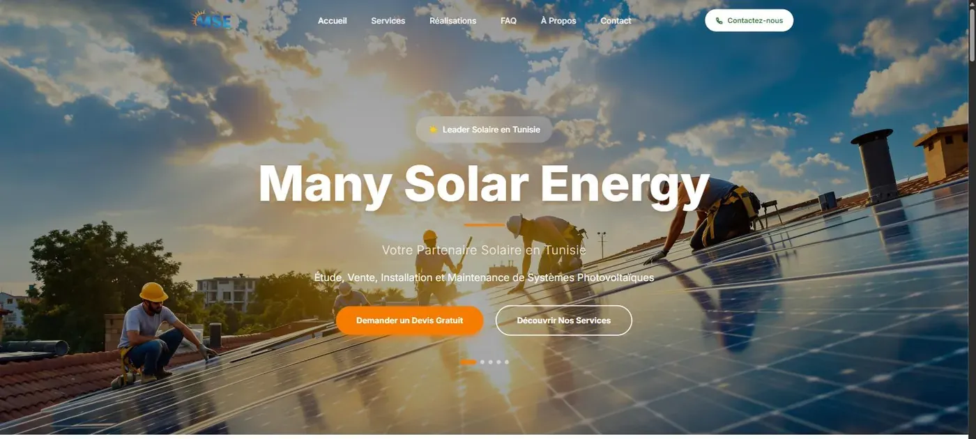 Many Solar Energy — delivered website