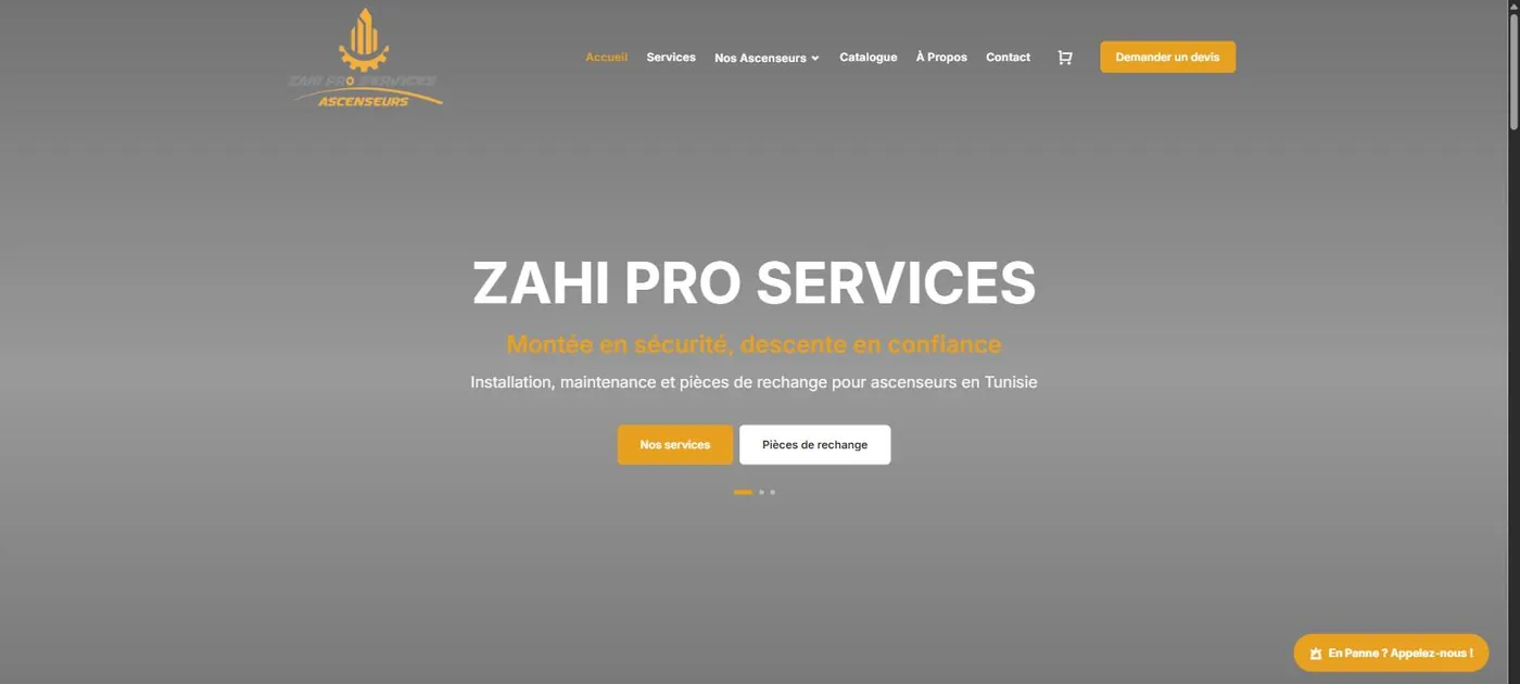ZAHI PRO Services